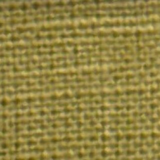 Oliva swatch
